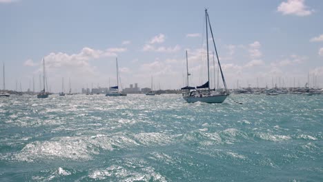 sailboats on wavy turquoise sea by coastline of florida, full frame slow motion