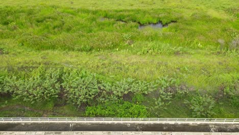 Aerial-reverse-footage-of-a-grassland-then-the-elevated-provincial-railway,-Muak-Klek,-Saraburi,-Thailand