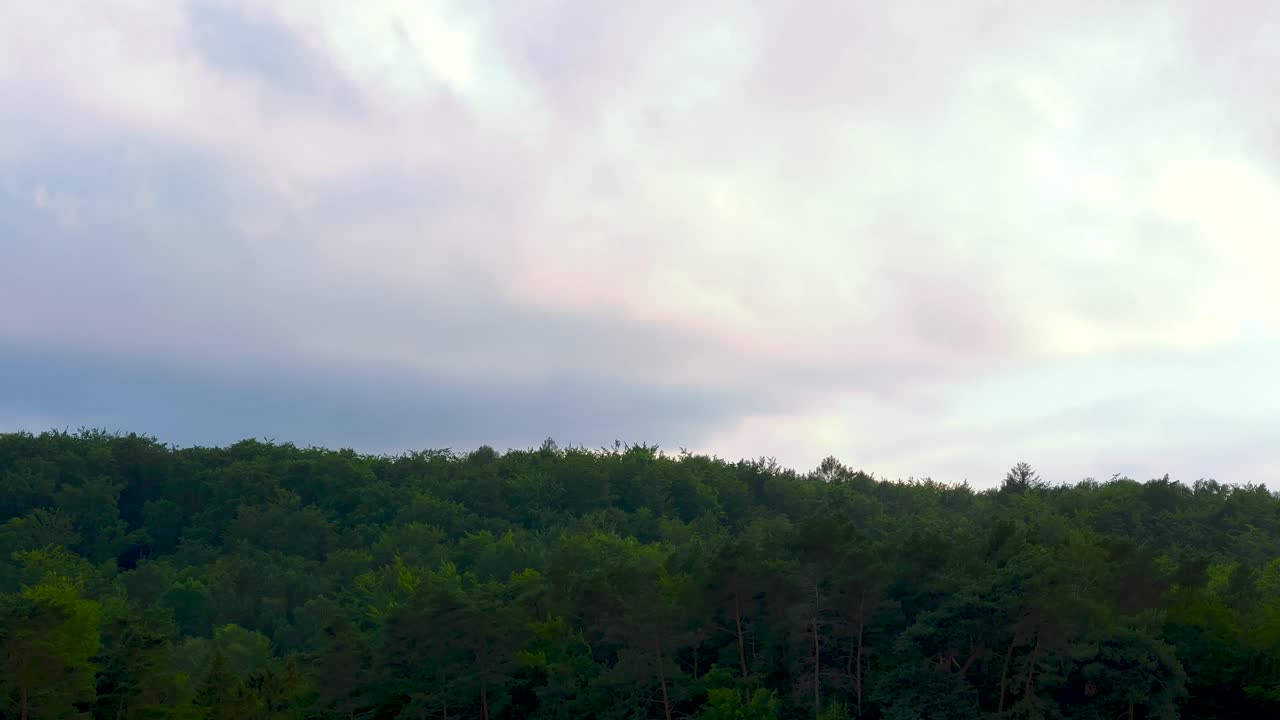 Time lapse shot of flying clouds over dense forest trees in nature during cloudy day