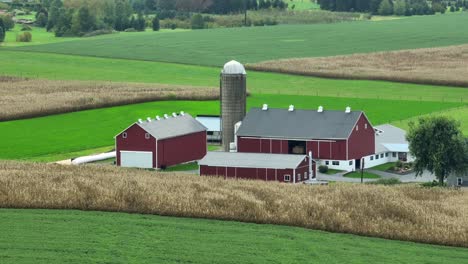 Red-barns-and-silos-at-American-farm-surrounded-by-rural-fields-in-USA