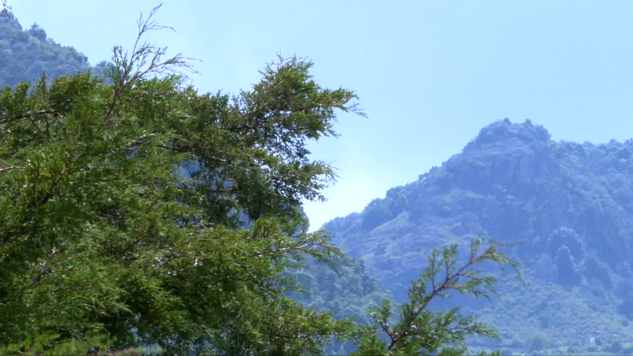 전경에 나무가 있고 멀리에는 산이 있는 멋진 풍경