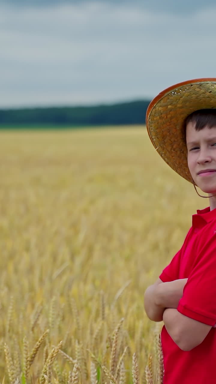 Portrait of a little farmer on field. Serious boy in straw hat standing on the golden field in summer day. Agriculture and summer vacation. Vertical video