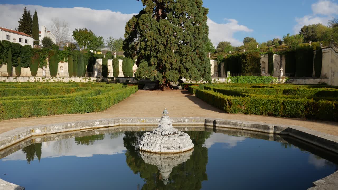 Muovendosi attorno a un piccolo stagno davanti a una sequoia in un giardino barocco.