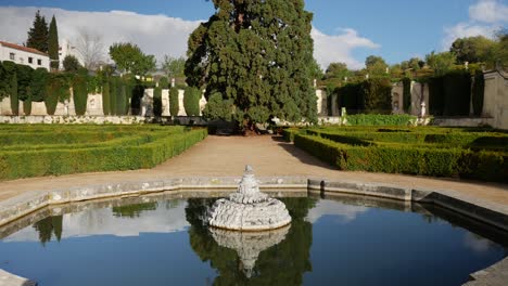 moving arround a small pond in front of a redwood in a baroque garden