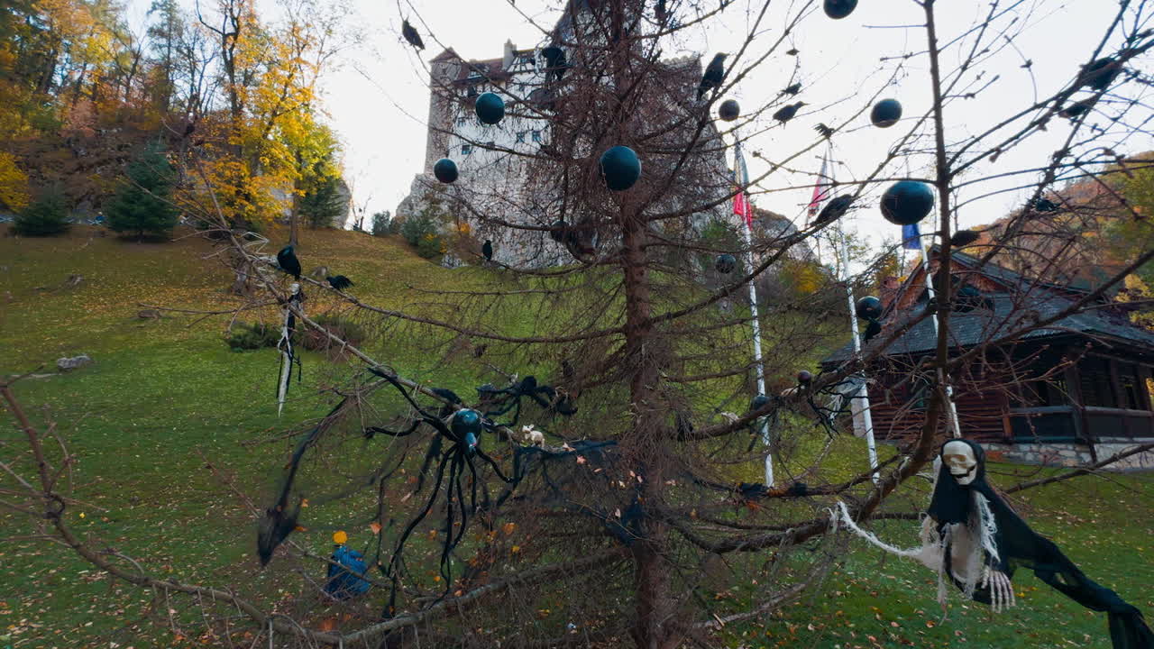 Dry fir-tree decorated with Halloween items. Dracula castle on the hill at backdrop. Low angle view.