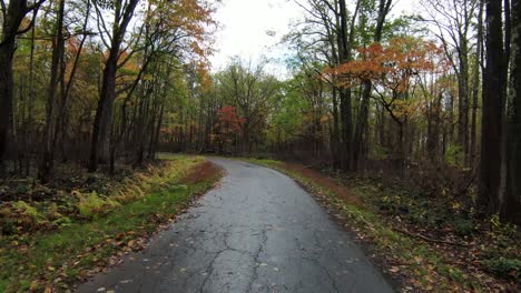 Bajo-Vuelo-A-Través-De-La-Carretera-De-Otoño