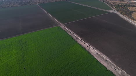 Aerial-pull-back-of-lush-green-farm-land-of-garlic-and-asparagus-in-mexico