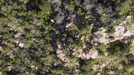 Aerial-view-of-a-group-of-people-standing-on-rocks-on-a-mountain-near-Taif,-Saudi-Arabia