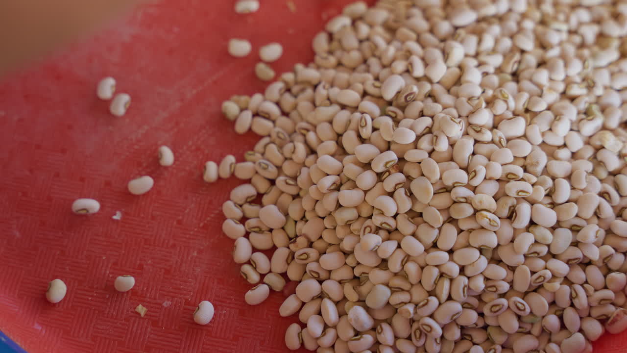 Black hands arranging beans on red tray for pantry storage, final cleaning and measuring during house chores, closeup of pile and gentle pour from can, domestic atmosphere, organized staple