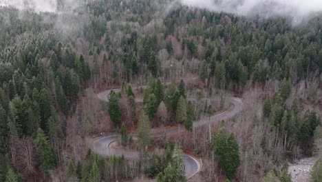 Tiro-De-Bloqueo-Del-Curso-Del-Asombroso-Bosque-Virgen-Verde-En-Las-Montañas-Bucegi,-Rumania