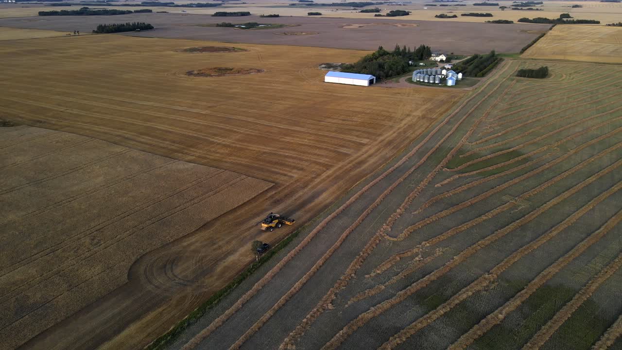 cosechadora moderna recorriendo una granja trabajando para cosechar cereales en alberta, canadá