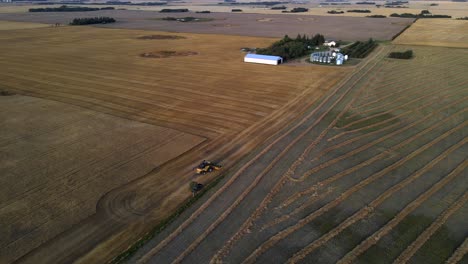 Modern-combine-harvester-touring-a-farm-working-to-harvest-cereals-in-Alberta,-Canada