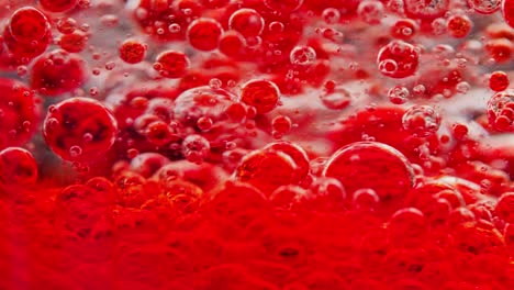 Makroaufnahme-Einer-Reihe-Roter-Blasen-Im-Wasser,-Die-Sich-Ständig-Bewegen