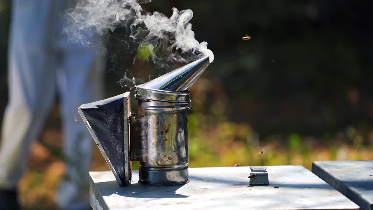 Metal bee smocker for beekeeping. Close up of chimney with smoke on apiary