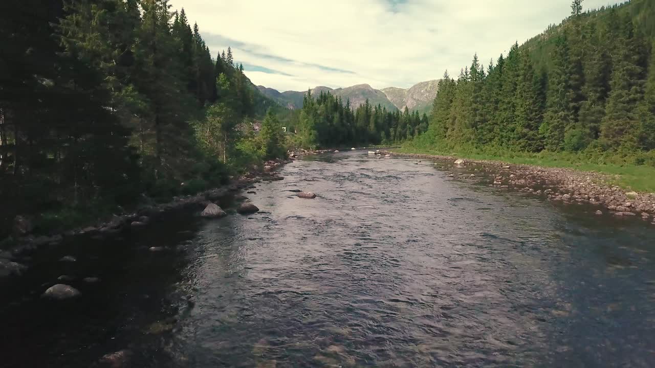 Close forward drone shot over a river and gradually elevating, next to a road in a forest
