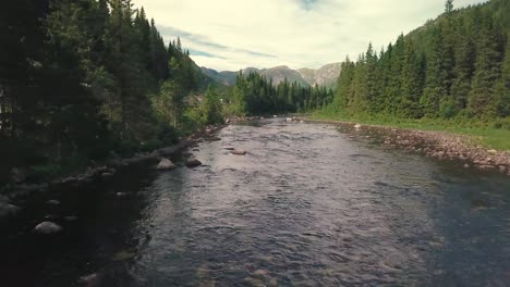 close forward drone shot over a river and gradually elevating, next to a road in a forest