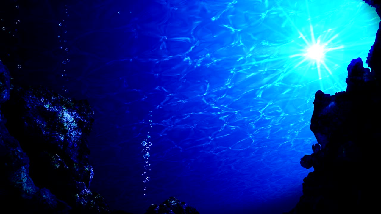 바다에서 다이빙, 해저 다이빙 및 루프 애니메이션