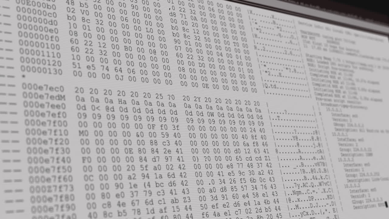 animación del procesamiento de datos en la pantalla gris de la computadora