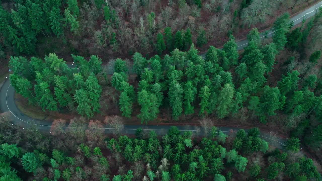 Aerial view of winding forest road near Black Forest, Germany—curving through dense conifer and deciduous trees. A tranquil blend of natural textures and human design in Baden-Württemberg