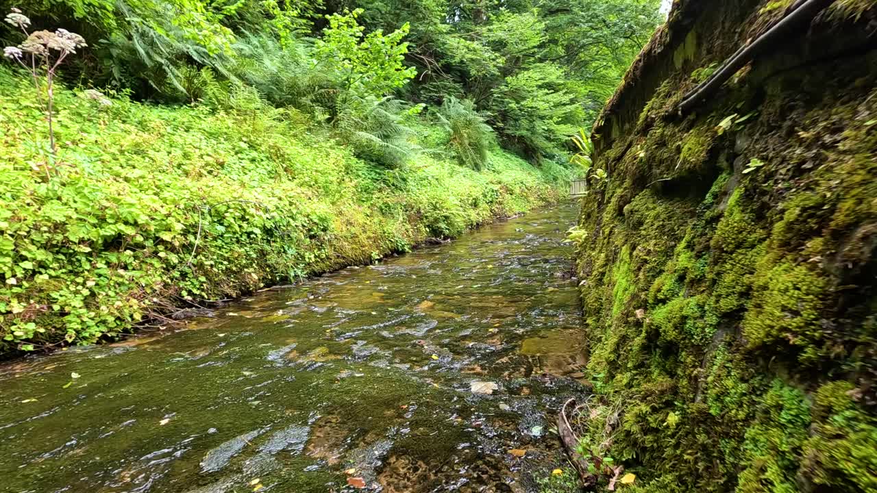 흐르는 하천  에 있는 모스로 인 바위