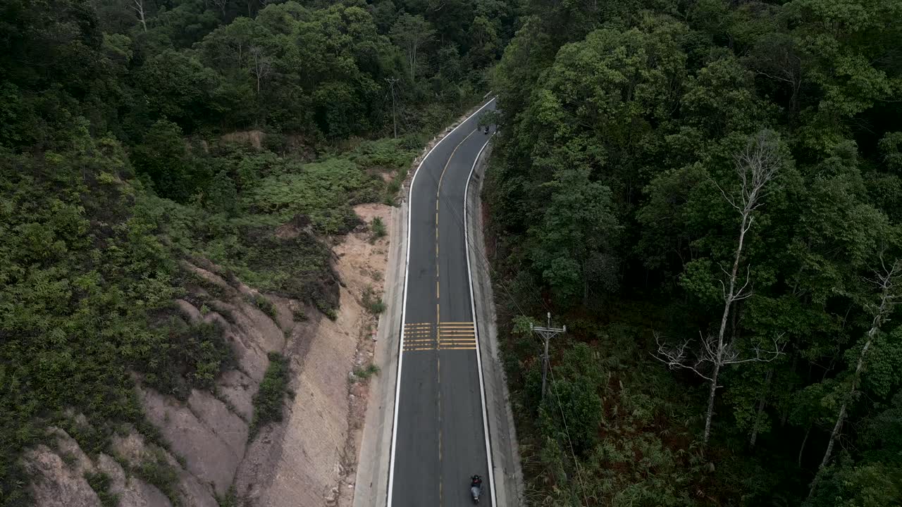 горная дорога через пышный лес