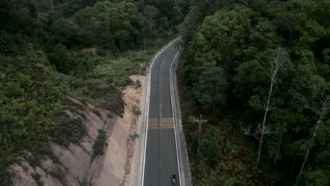 camino de montaña a través de un bosque exuberante