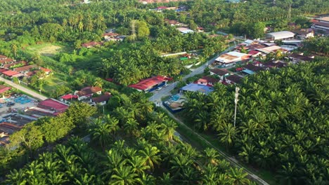 birds eye view flying above kampung china, residential neighborhood with narrow streets at seri manjung, sitiawan surrounded by hectares of palm trees plantations by commercial business and landowner