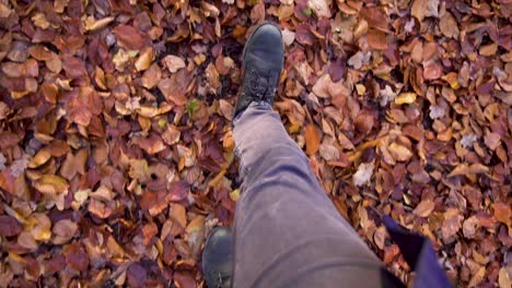 Man-Looking-Down-on-his-Boots-Walking-on-Ground-Full-of-Brown-Leaves