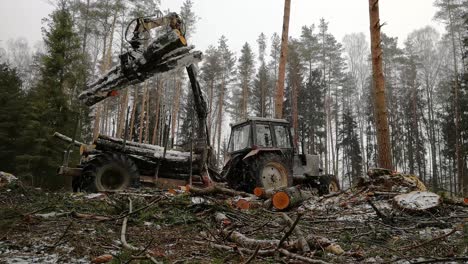 forestry tractor grabbing tree trunks during snowy day