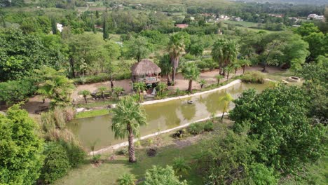 a small natural pond with palm trees and vegetation around it, which serves to relax and retain water