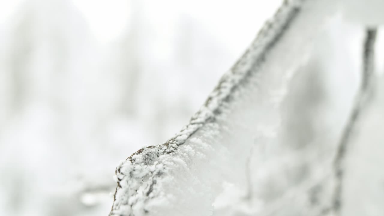 Macro shot of frozen icicles during snowy winter day