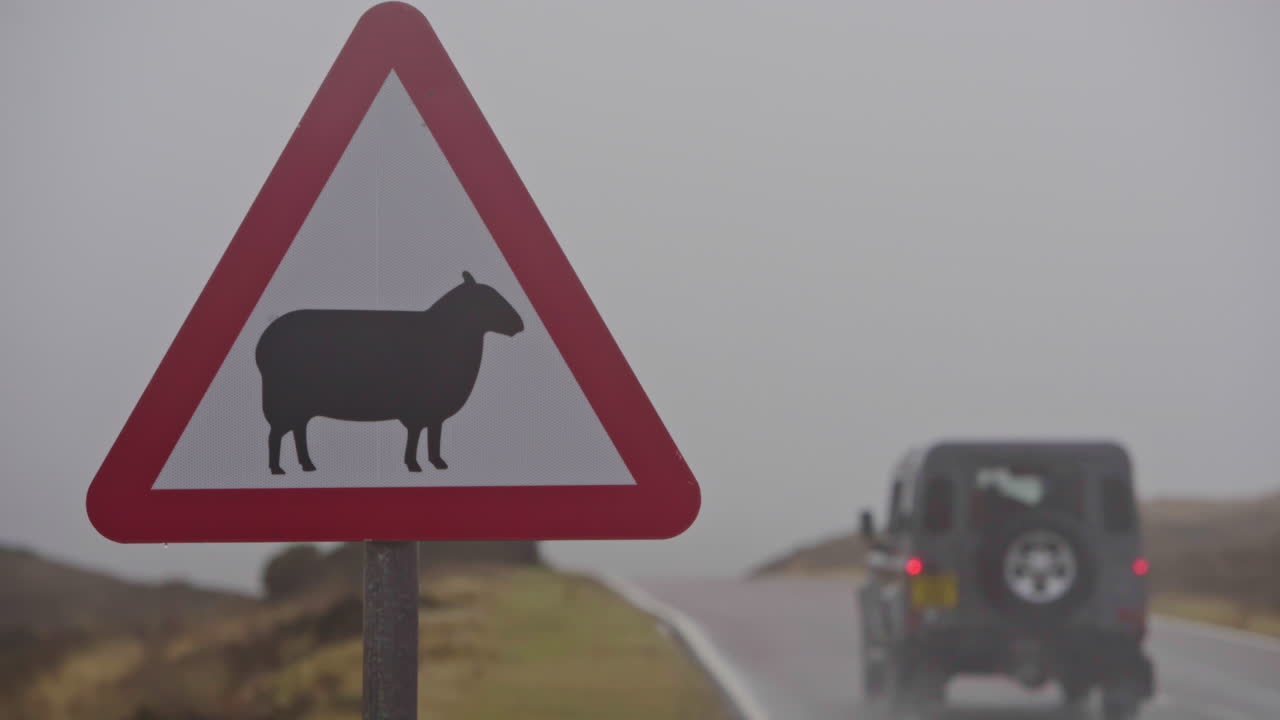 A classic 4x4 vehicle drives past a traffic sign warning of sheep on the road ahead. Filmed in the Scottish Highlands in Scotland. Road-trip travel and wanderlust concept.