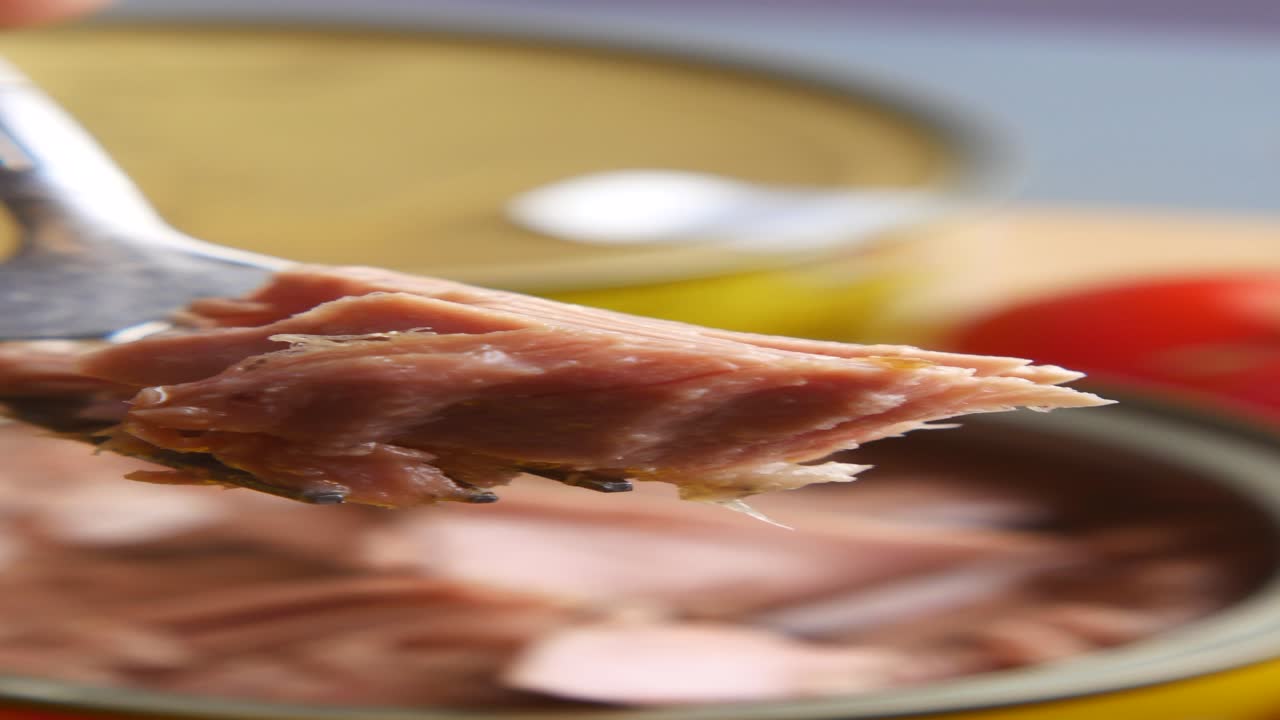 Canned Tuna on a Fork