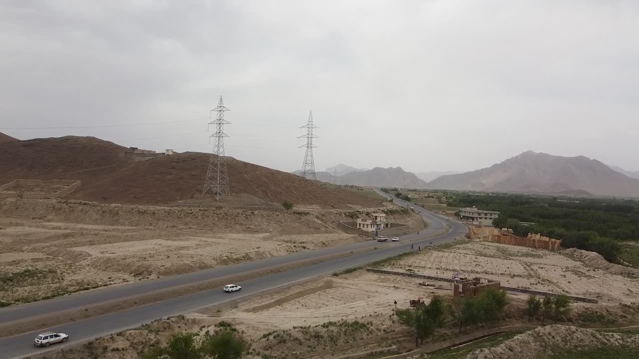 planta en crecimiento 2 púrpura