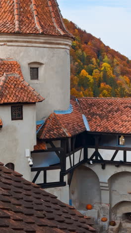 decks and roofs of the beautiful medieval castle bran in brasov, romania. red tiles covering the old rooftops. colorful autumn nature at backdrop. vertical video