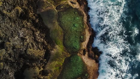 aerial pullout of natural rock pools at cap des pins in lifou island, new caledonia