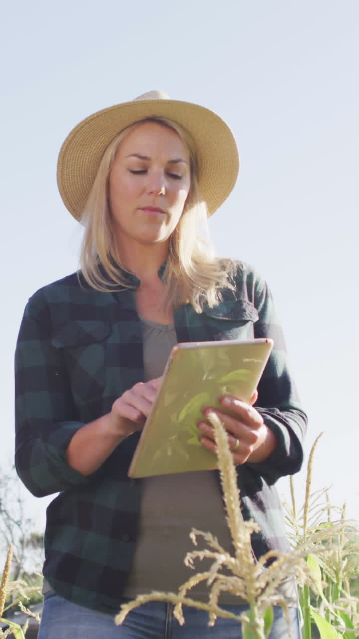 видео счастливой разнообразной женщины и мужчины с планшетом в поле в солнечный день