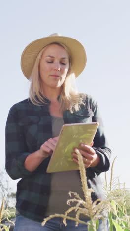 video of happy diverse female and male with tablet in field on sunny day