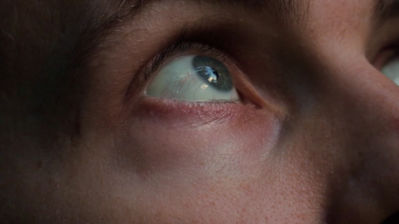 정글 에서 위험 을 경계 하고 섬 의 아름다움 을 감상 하는 여행자 의 파란 눈 의 정적 한 클로즈업  ⁇