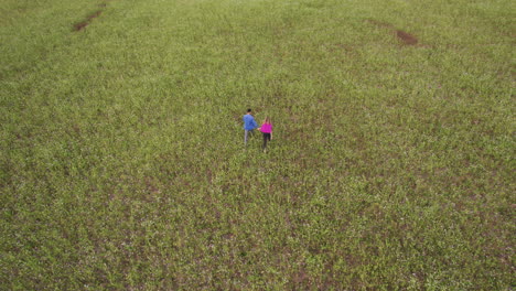 young couple holding hands in a field