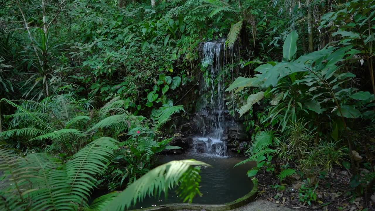 Zeitlupe einer Wasserfontäne, umgeben von Natur, in einem Bambuswald nahe Chiang Rai, Thailand