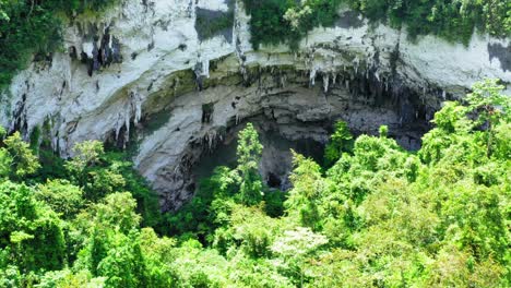 Calbiga-Cave-Opening-in-Jungle-Philippines-drone