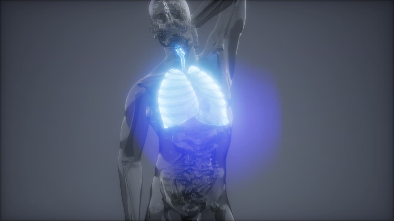 인간의 폐 방사선 검사