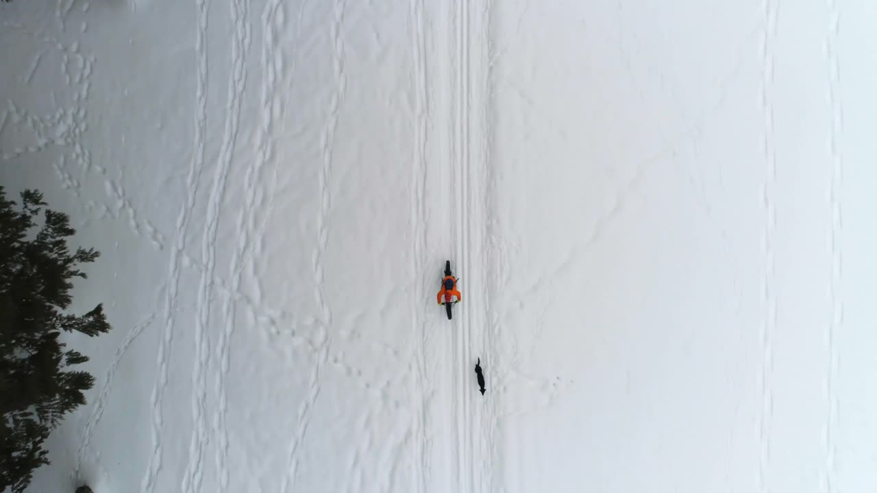 hombre con perro en bicicleta en un área nevada 4k
