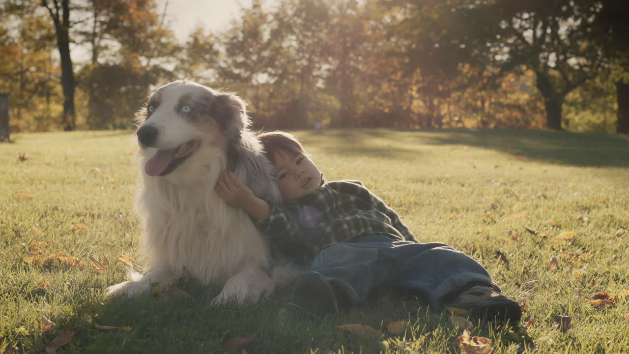 2살짜리 아이가 큰 개  ⁇ 에 잔디 ⁇ 에 누워 있다. 우정과 애완동물 개념
