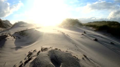 sand dunes with dune grass in the storm of the north sea, hiking dunes, dike protection, sondervig, jutland, denmark, 4k