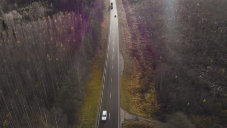 Luftaufnahme,-Nach-Unten-Geneigt,-Drohnenaufnahme,-Einem-Auto-Folgend,-Das-Auf-Einer-Dunklen,-Asphaltierten-Straße-Zwischen-Kiefern-Und-Blattlosen-Birkenwäldern-Fährt,-Sonneneruptionen,-An-Einem-Sonnigen-Herbsttag,-In-Juuka,-Nordkarelien,-Finnland