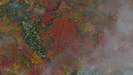 unique birds eye view foggy cloudy colorful colorado aerial cinematic drone san juans range ridgway mount sniffels wilderness million dollar highway dallas range autumn fall backward motion slow