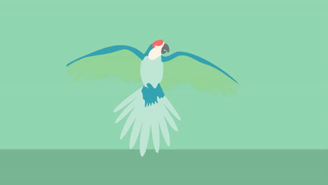 animación del icono de loro verde y azul sobre un fondo verde negro