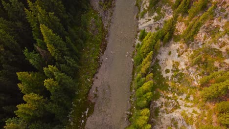 Bachwald-Und-Rauchige-Berge